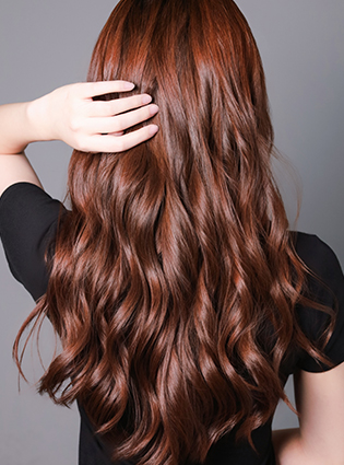 百美汇技能培训