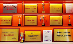 企业级实训课程